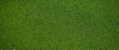 赛事宣传与社交媒体营销